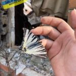 IMG_20260115_172332_852